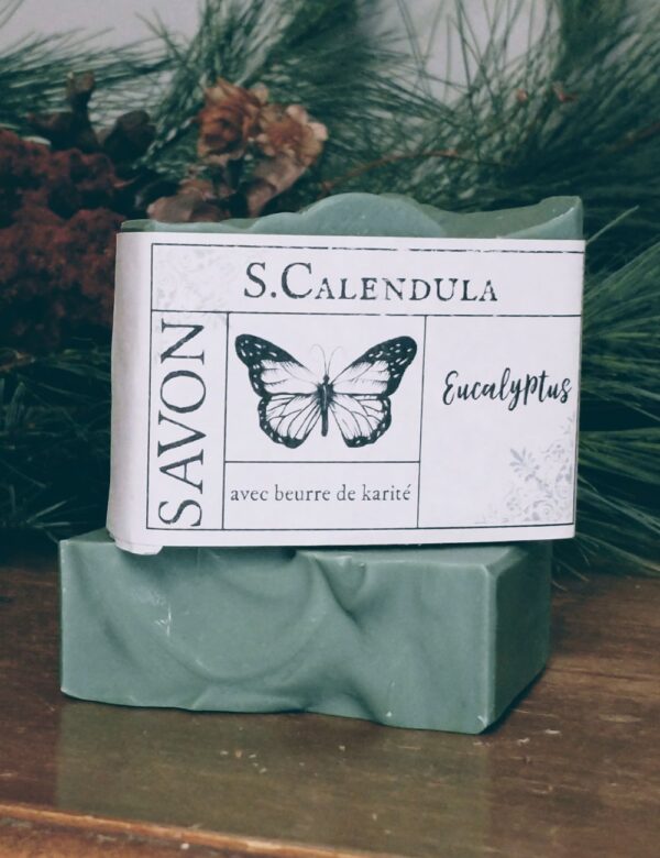 Le savon Eucalyptus est fabriqué artisanalement avec amour, en utilisant des méthodes traditionnelles de saponification à froid. Cela permet de préserver les bienfaits des ingrédients et de produire un savon de haute qualité, respectueux de votre peau et de l'environnement.